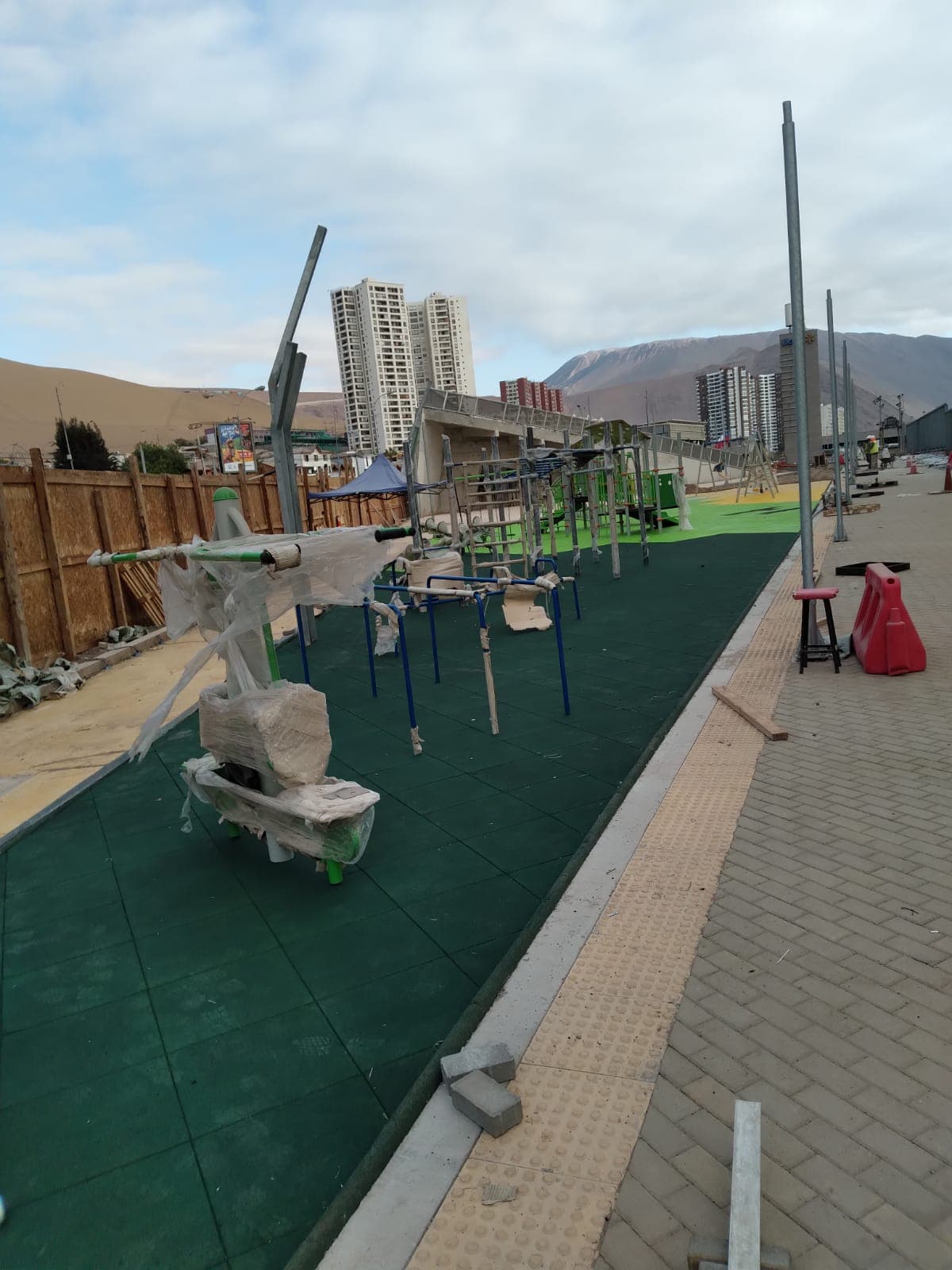 Palmetas Caucho Iquique