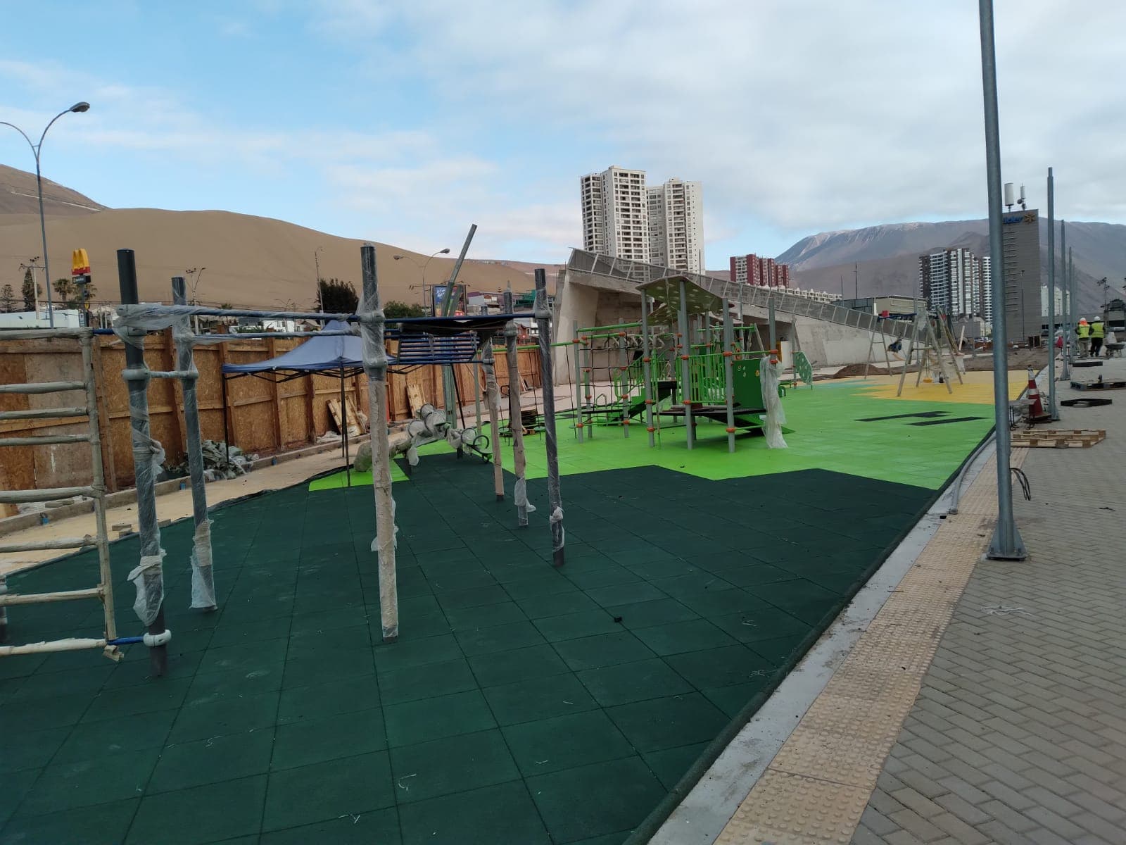 Palmetas Caucho Iquique - Imagen 3